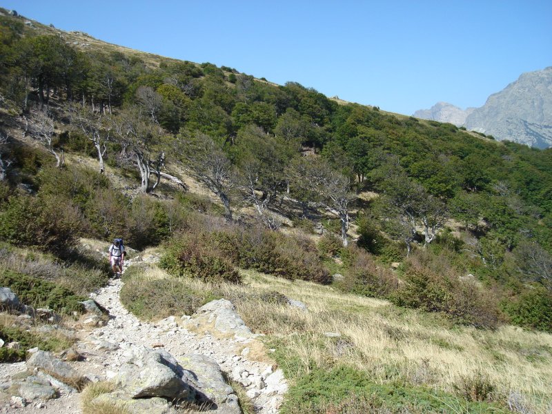 gal/Corsica/Jour_10/DSC01345.JPG