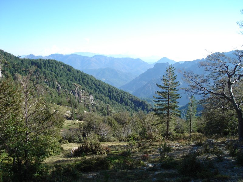 gal/Corsica/Jour_11/DSC01421.JPG
