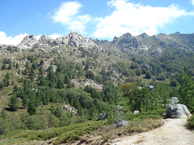 gal/Corsica/Jour_11/DSC01443.JPG