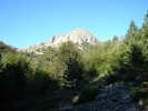 gal/Corsica/Jour_11/_thb_DSC01417.JPG