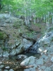 gal/Corsica/Jour_11/_thb_DSC01418.JPG