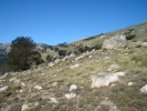 gal/Corsica/Jour_11/_thb_DSC01425.JPG