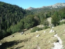 gal/Corsica/Jour_11/_thb_DSC01430.JPG