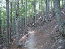 gal/Corsica/Jour_11/_thb_DSC01434.JPG