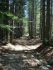 gal/Corsica/Jour_11/_thb_DSC01437.JPG