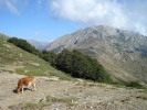 gal/Corsica/Jour_12/_thb_DSC01495.JPG