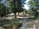gal/Corsica/Jour_12/_thb_DSC01500.JPG