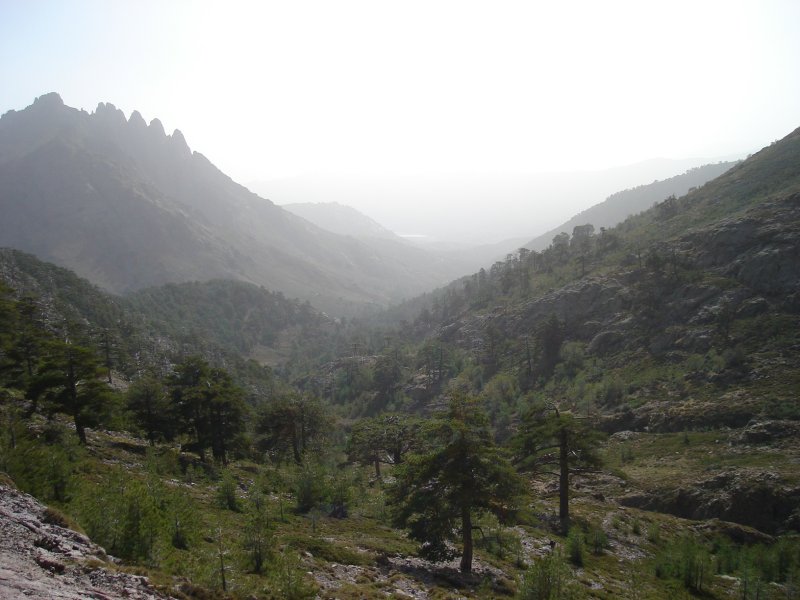 gal/Corsica/Jour_6/DSC01001.JPG