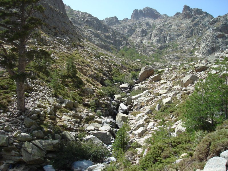 gal/Corsica/Jour_6/DSC01029.JPG