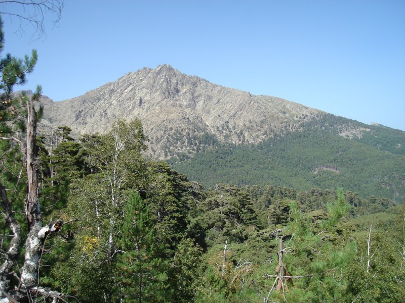 gal/Corsica/Jour_6/DSC01044.JPG
