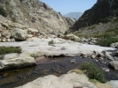 gal/Corsica/Jour_6/_thb_DSC01025.JPG