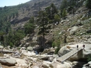 gal/Corsica/Jour_6/_thb_DSC01033.JPG