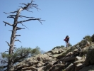 gal/Corsica/Jour_6/_thb_DSC01038.JPG