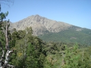 gal/Corsica/Jour_6/_thb_DSC01044.JPG