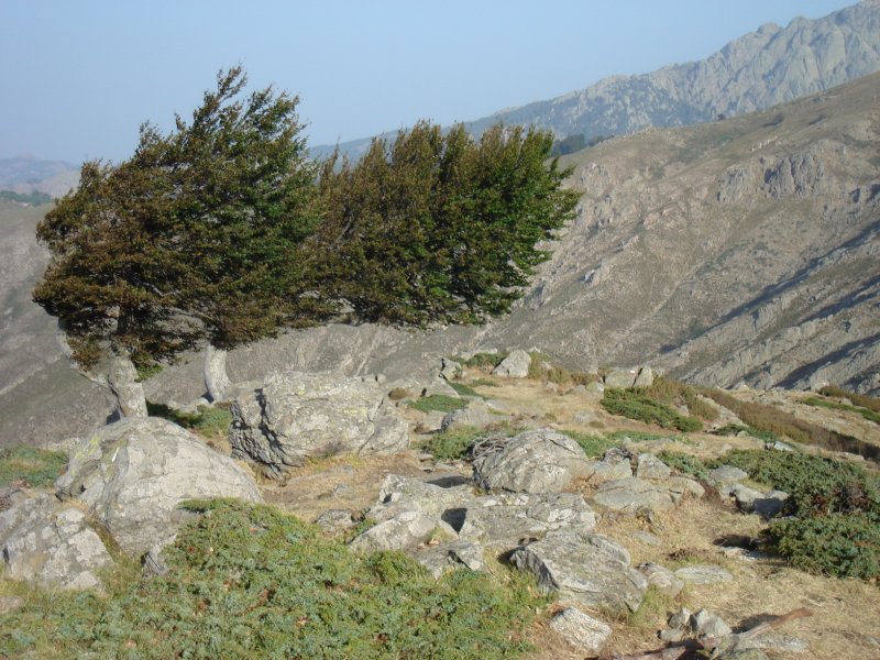 gal/Corsica/Jour_7/DSC01087.JPG
