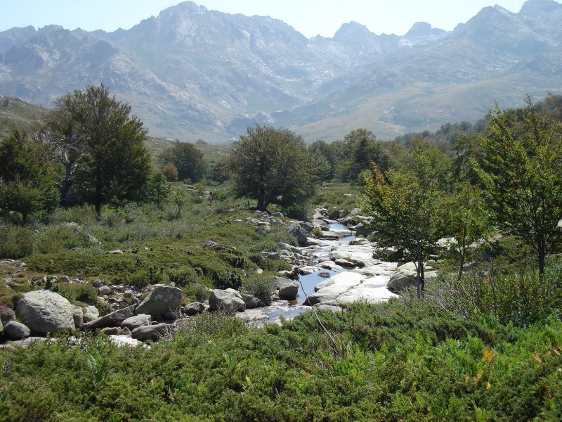 gal/Corsica/Jour_7/DSC01119.JPG