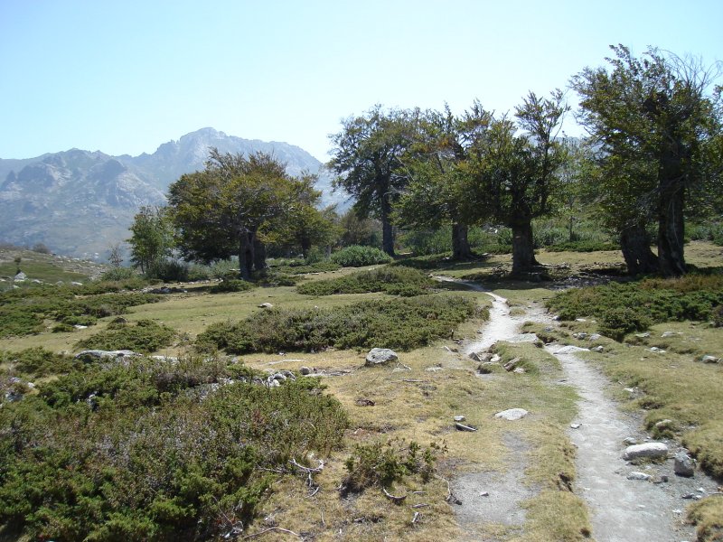 gal/Corsica/Jour_7/DSC01127.JPG