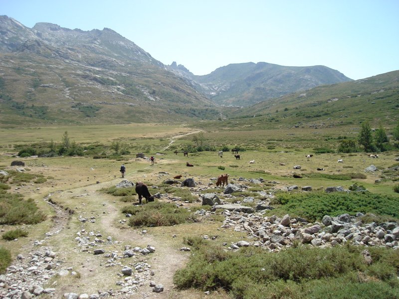 gal/Corsica/Jour_7/DSC01132.JPG