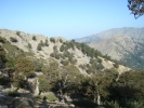gal/Corsica/Jour_7/_thb_DSC01090.JPG