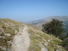 gal/Corsica/Jour_7/_thb_DSC01093.JPG