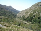 gal/Corsica/Jour_7/_thb_DSC01137.JPG