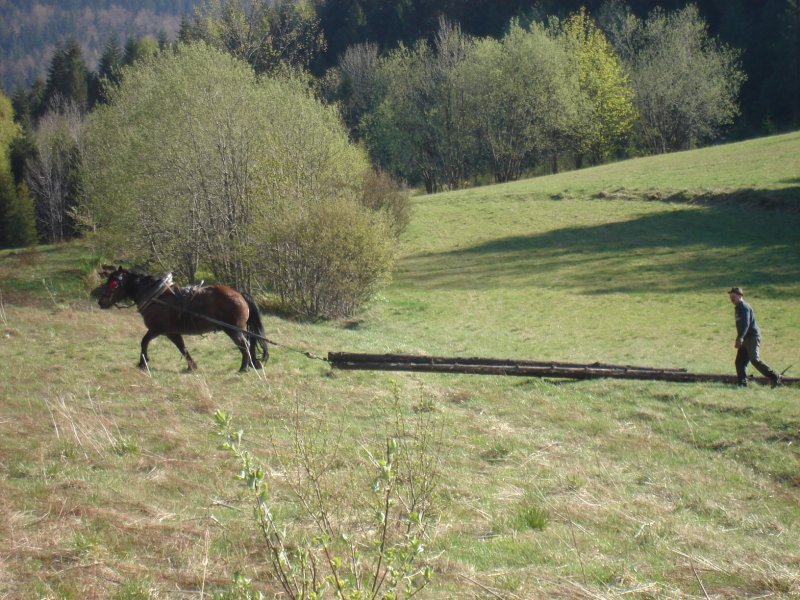 gal/Poland/Beskidy/DSC00629.JPG