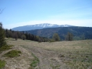 gal/Poland/Beskidy/_thb_DSC00485.JPG