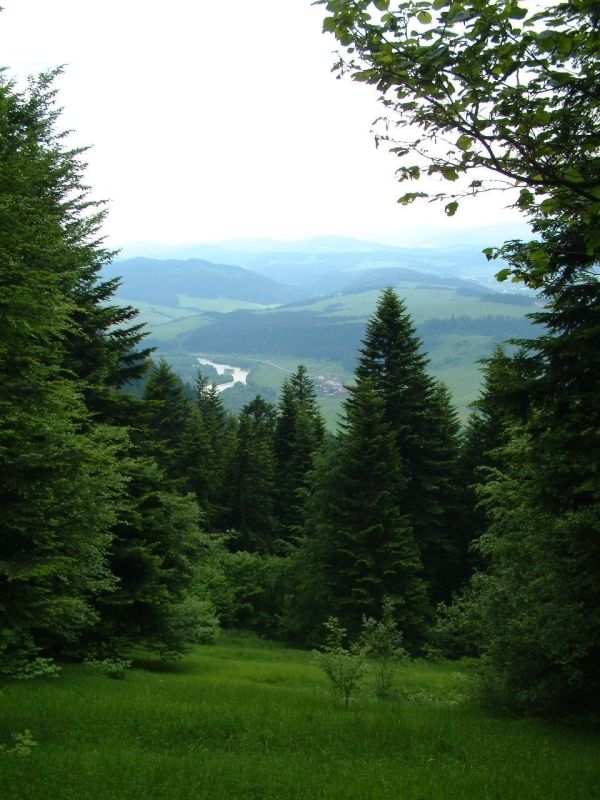 gal/Poland/Pieniny/10.JPG