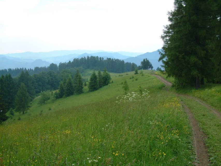 gal/Poland/Pieniny/20.JPG