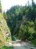 gal/Poland/Pieniny/_thb_14.JPG