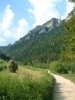 gal/Poland/Pieniny/_thb_15.JPG