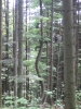 gal/Poland/Pieniny/_thb_21.jpg
