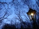 gal/Poland/Varsovie/Night_walk/_thb_02.JPG