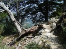 gal/Corsica/Jour_10/_thb_DSC01376.JPG