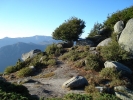 gal/Corsica/Jour_13/_thb_DSC01549.JPG