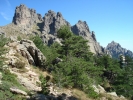 gal/Corsica/Jour_14/_thb_DSC01677.JPG