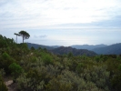 gal/Corsica/Jour_15/_thb_DSC01786.JPG