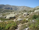 gal/Corsica/Jour_7/_thb_DSC01116.JPG